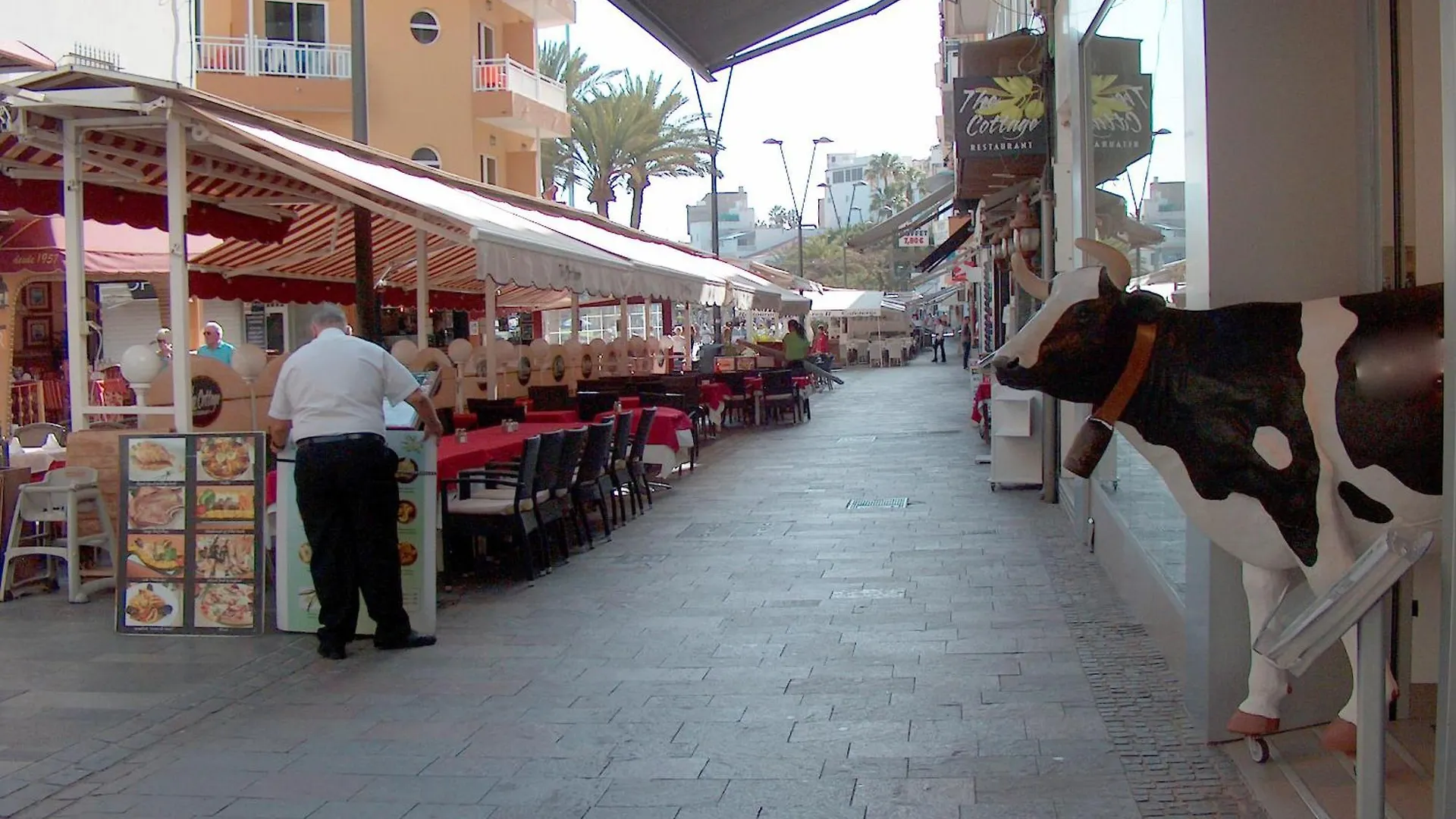 Happy Moments In Los Cristianos 0*, 로스크리스티아노스